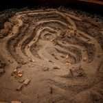 ¿Cuáles son los tipos de excavadoras en México?